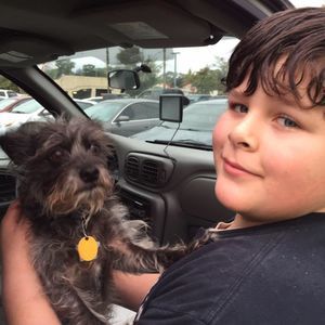 Meet your Posher, Casey